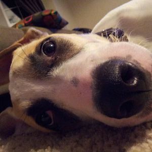 Meet your Posher, Kari